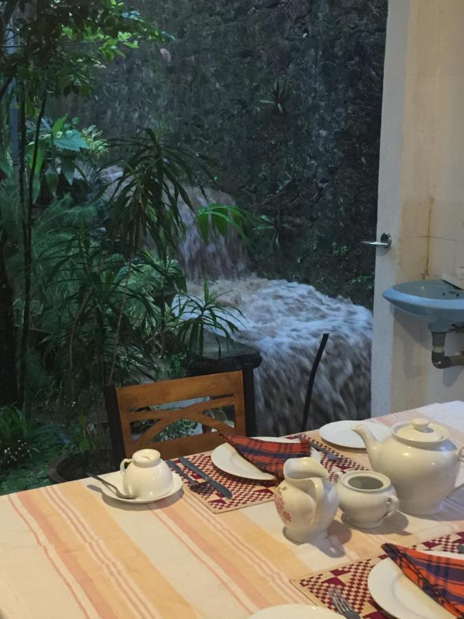 Kandy Ivy Banks Holiday Resort Extérieur photo