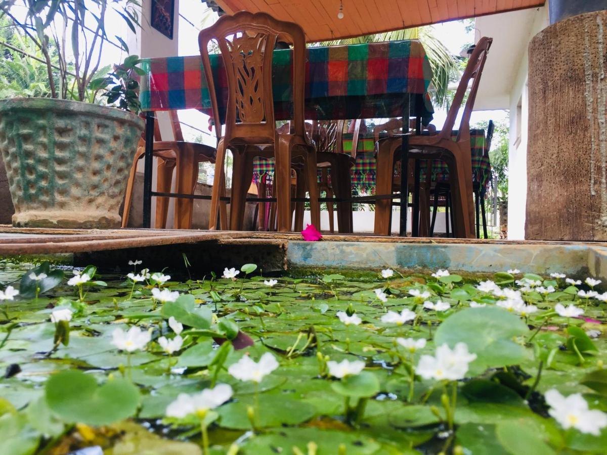 Kandy Ivy Banks Holiday Resort Extérieur photo