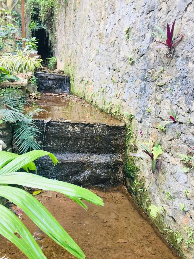 Kandy Ivy Banks Holiday Resort Extérieur photo
