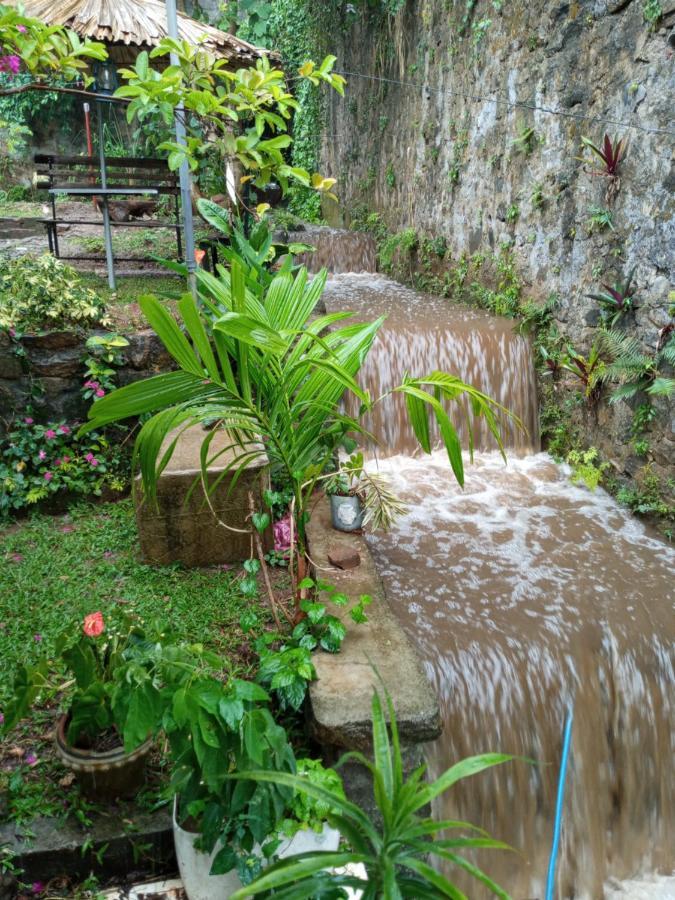 Kandy Ivy Banks Holiday Resort Extérieur photo