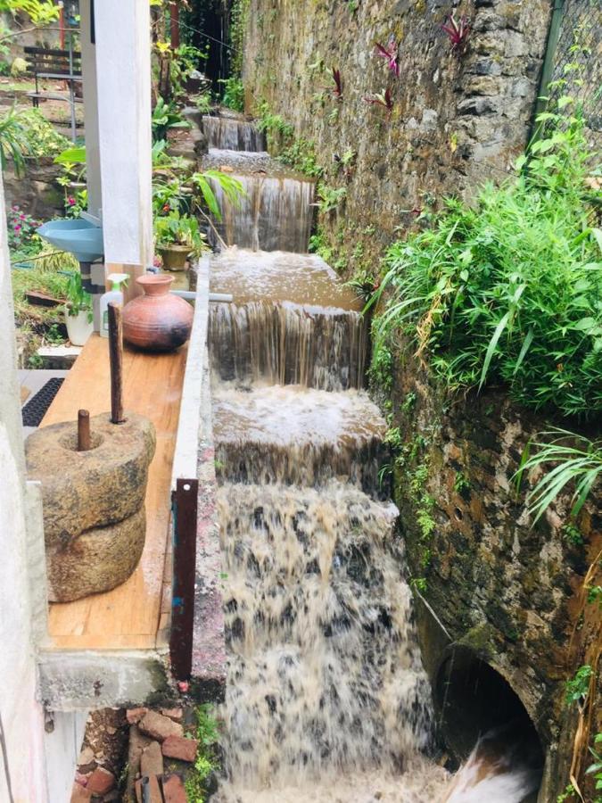 Kandy Ivy Banks Holiday Resort Extérieur photo