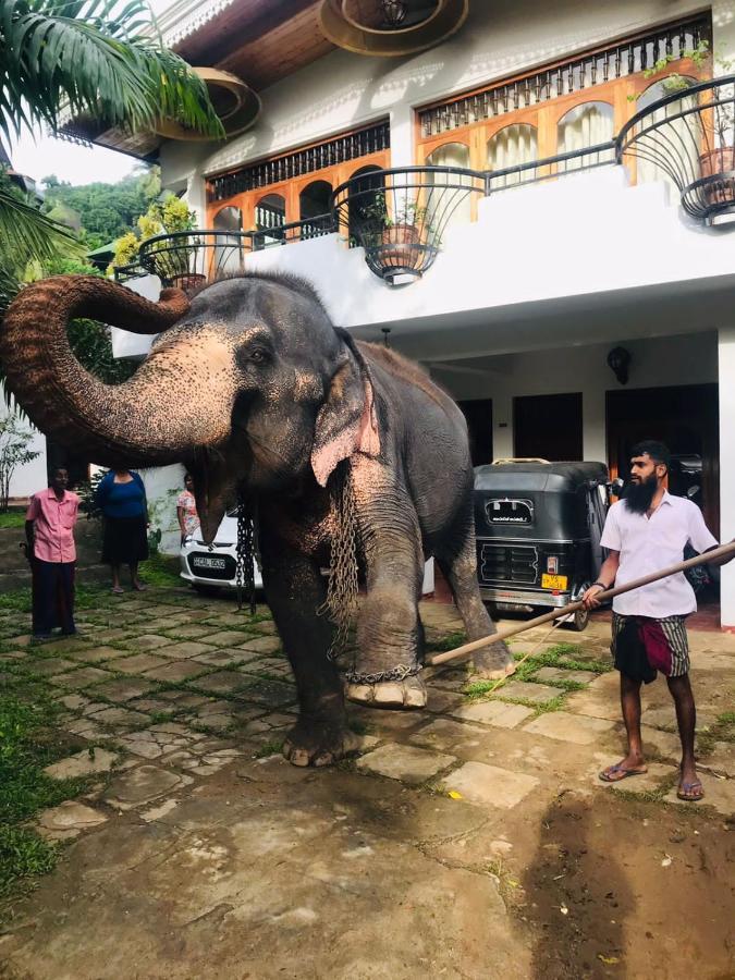 Kandy Ivy Banks Holiday Resort Extérieur photo