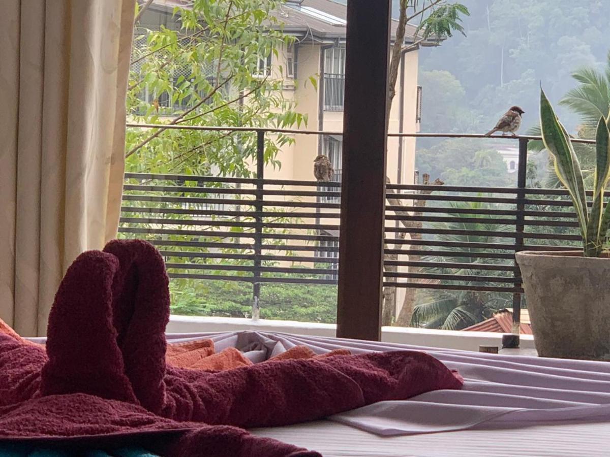 Kandy Ivy Banks Holiday Resort Extérieur photo